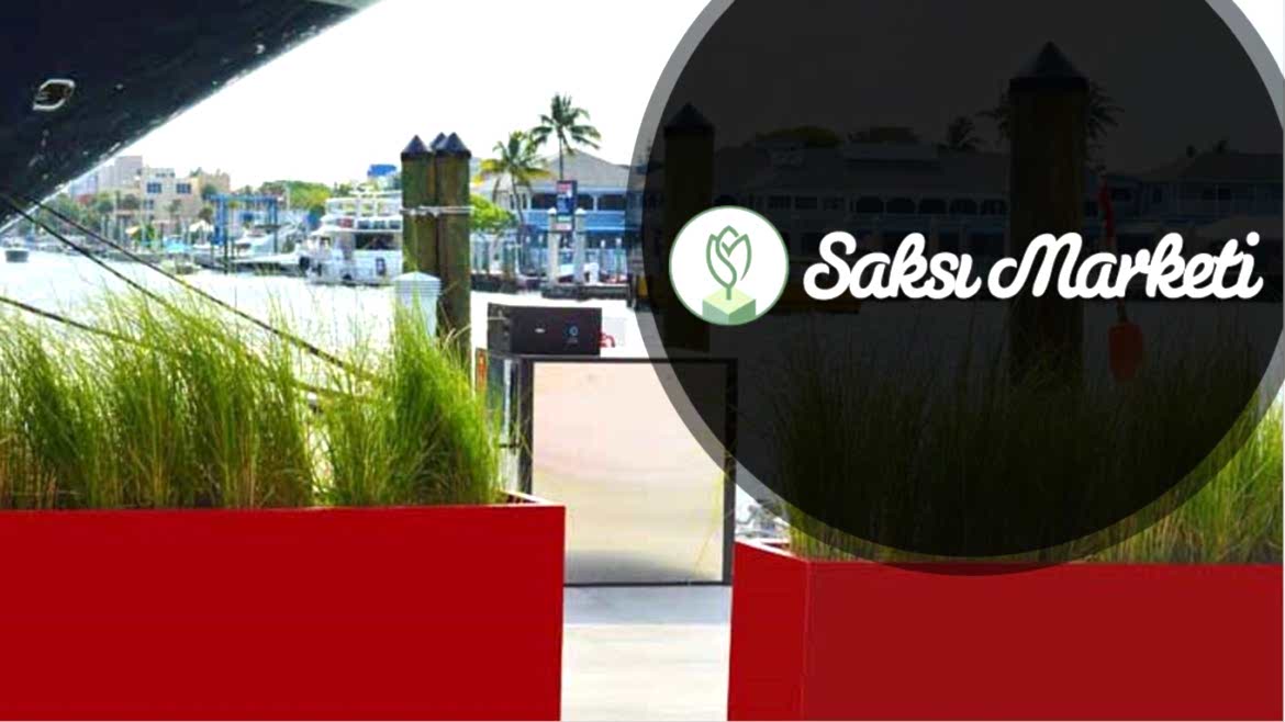 Saksı Marketi Tanıtım